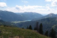P7164507-verkleinert